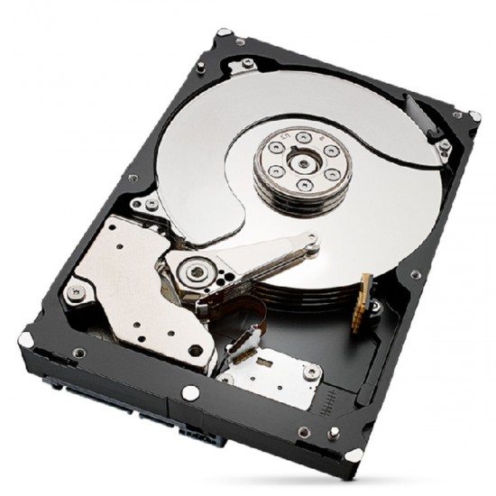 SEAGATE IRONWOLF Pro 4TB (ST4000NT001)