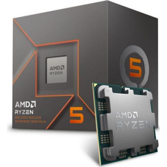 AMD Ryzen 5 8500G Box (100-100000931BOX)