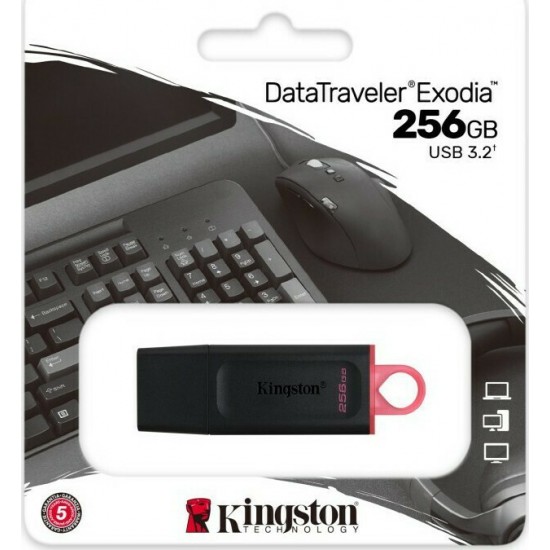 Kingston DataTraveler Exodia 256GB USB 3.2 (DTX/256GB)