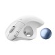 Ποντίκι LOGITECH ERGO M575S White (910-007030)
