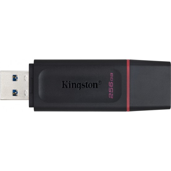 Kingston DataTraveler Exodia 256GB USB 3.2 (DTX/256GB)