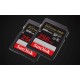 SanDisk 256GB Extreme PRO SDXC UHS-I Memory Card (SDSDXXD-256G-GN4IN)