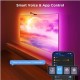 Govee Netflix Envisual TV Backlight 55-65 Inch (H6098CD1)