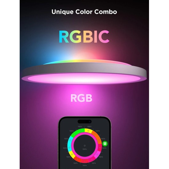 Govee Lamp Ceiling Smart RGBWW + RGBIC (H80A1C01)