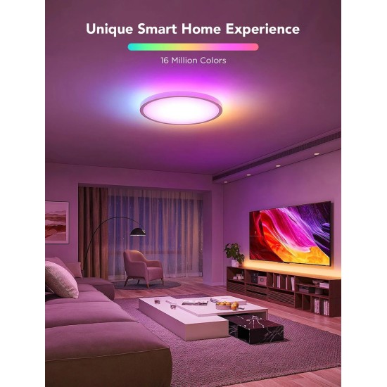 Govee Lamp Ceiling Smart RGBWW + RGBIC (H80A1C01)