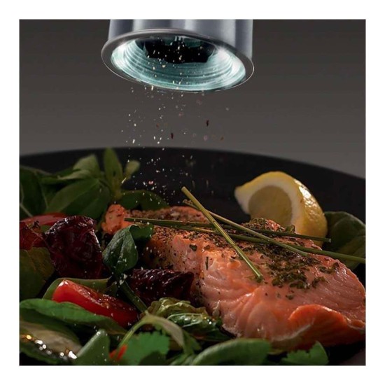 Ηλεκτρικοί Μύλοι Russell Hobbs Classics Σετ Ασημί (23460-56)