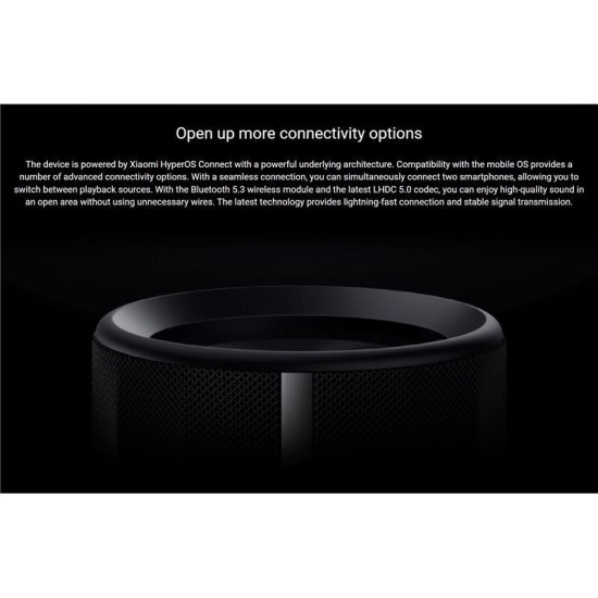 Ηχείο Bluetooth Xiaomi 40W Black (QBH4275GL)