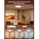 Govee Lamp Ceiling Smart RGBWW + RGBIC (H80A1C01)