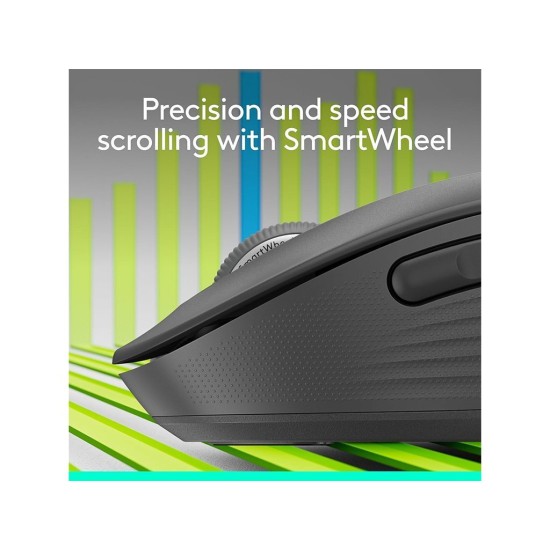 Logitech Signature M650 L Business Graphite (910-006348)